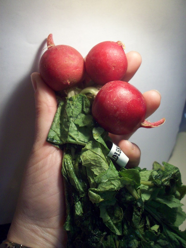 Lovely radishes (Eat Me. Drink Me.)