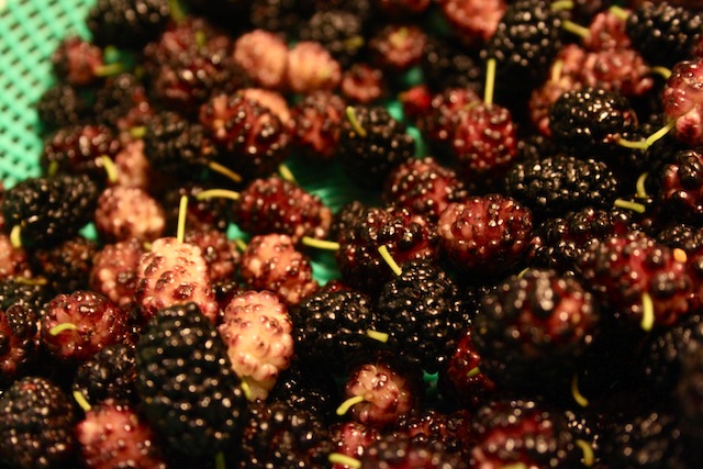 Fresh mulberries (Eat Me. Drink Me.)