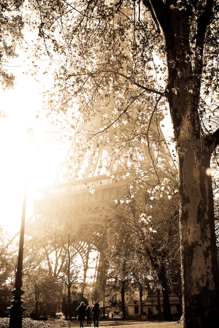 Sunlight and the Eiffel Tower, Paris (Eat Me. Drink Me.)