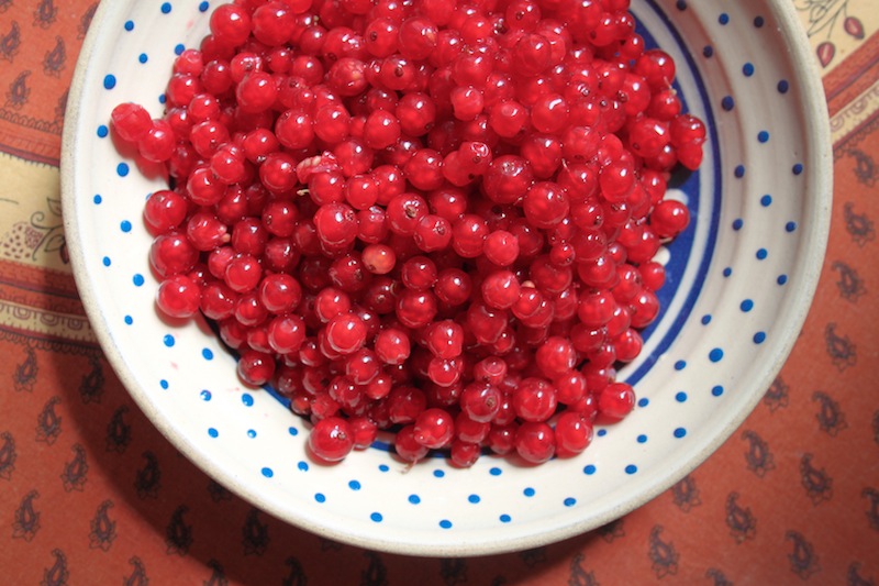Fresh red currants (Eat Me. Drink Me.)