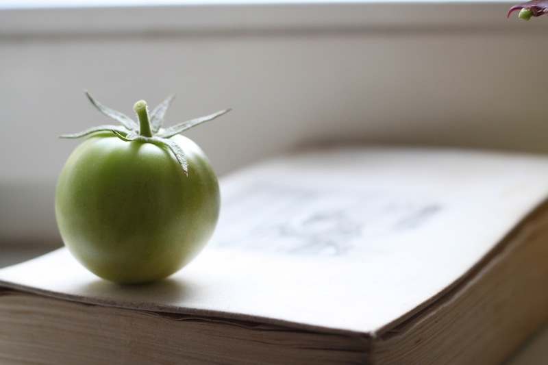 A meditative little green tomato (Eat Me. Drink Me.)