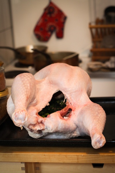 The turkey, ready to roast (Eat Me. Drink Me.)