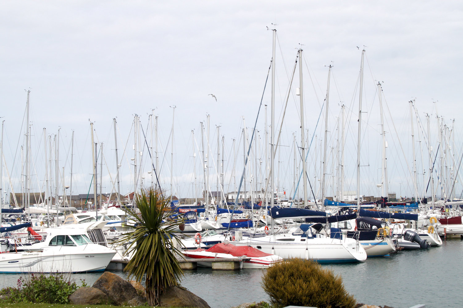 Boats in Howth harbor (Eat Me. Drink Me.)