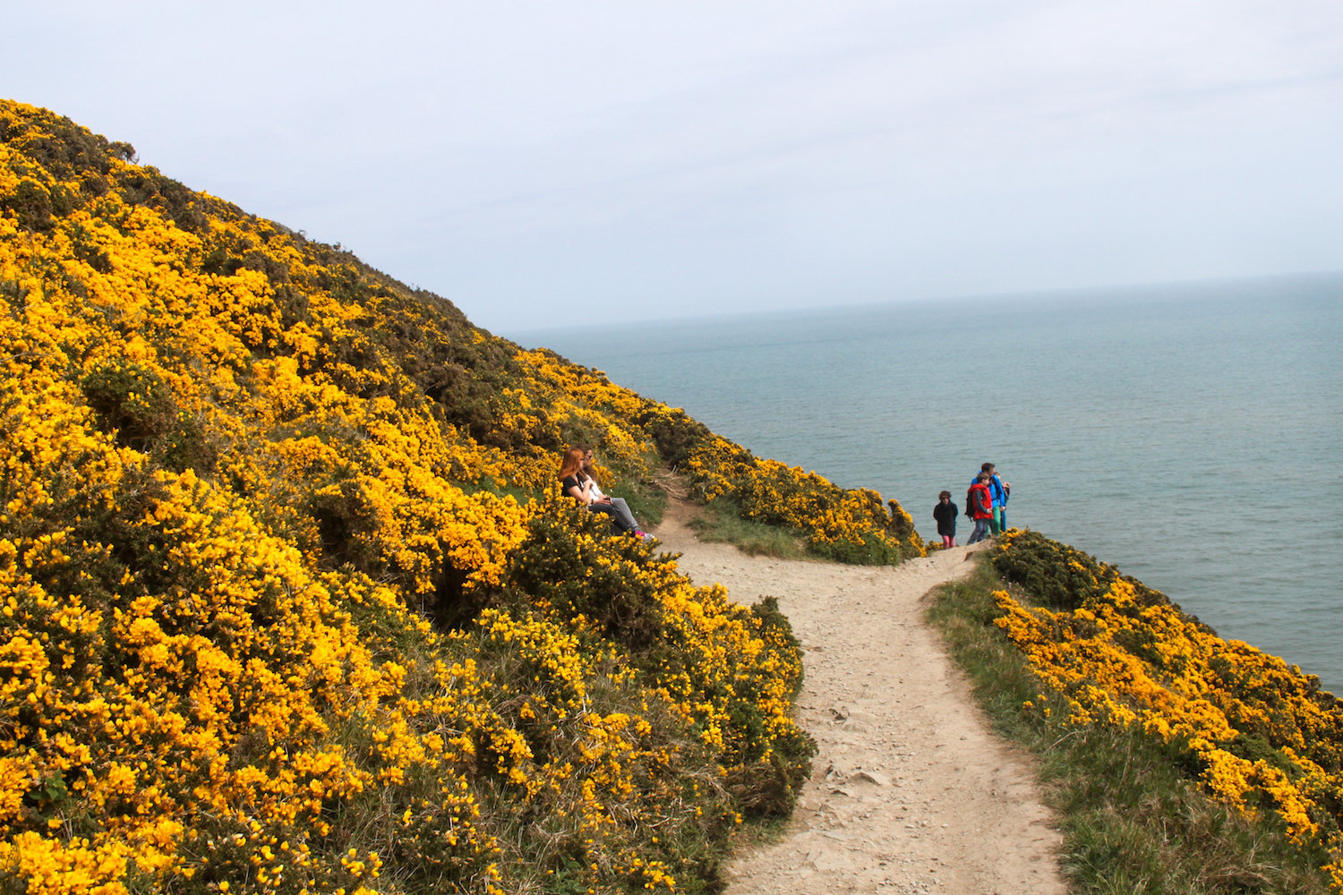 Trail along the cliffs of Howth (Eat Me. Drink Me.)