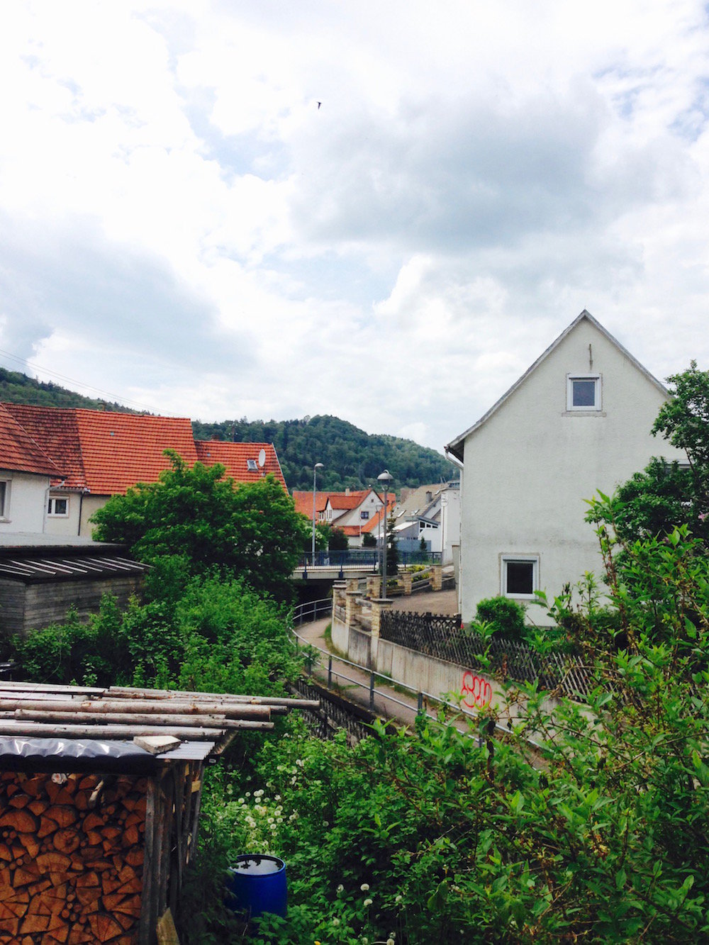 The view from my grandfather's porch (Eat Me. Drink Me.)