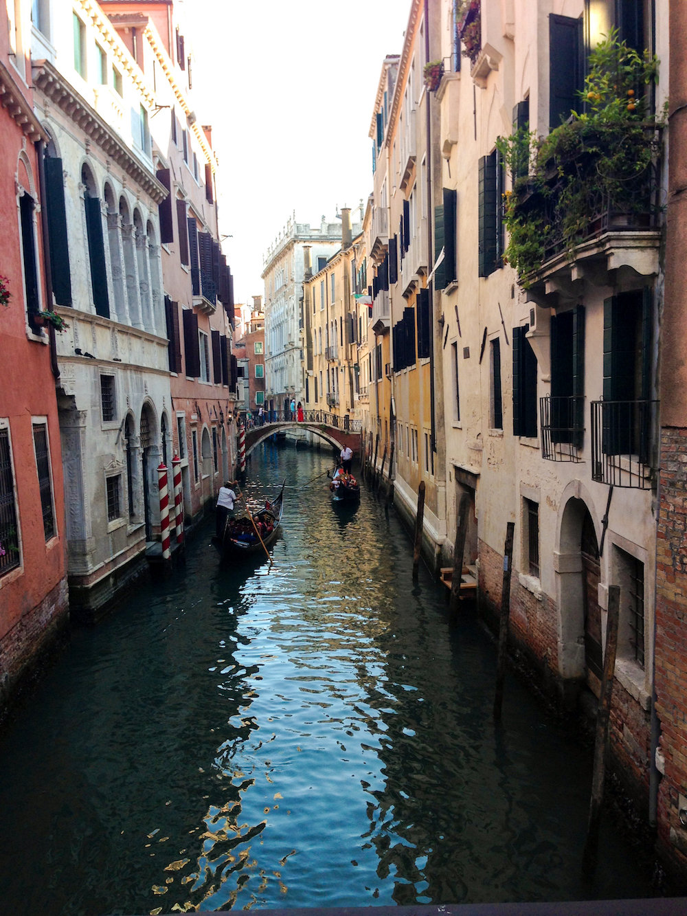 Venetian canal (Eat Me. Drink Me.)