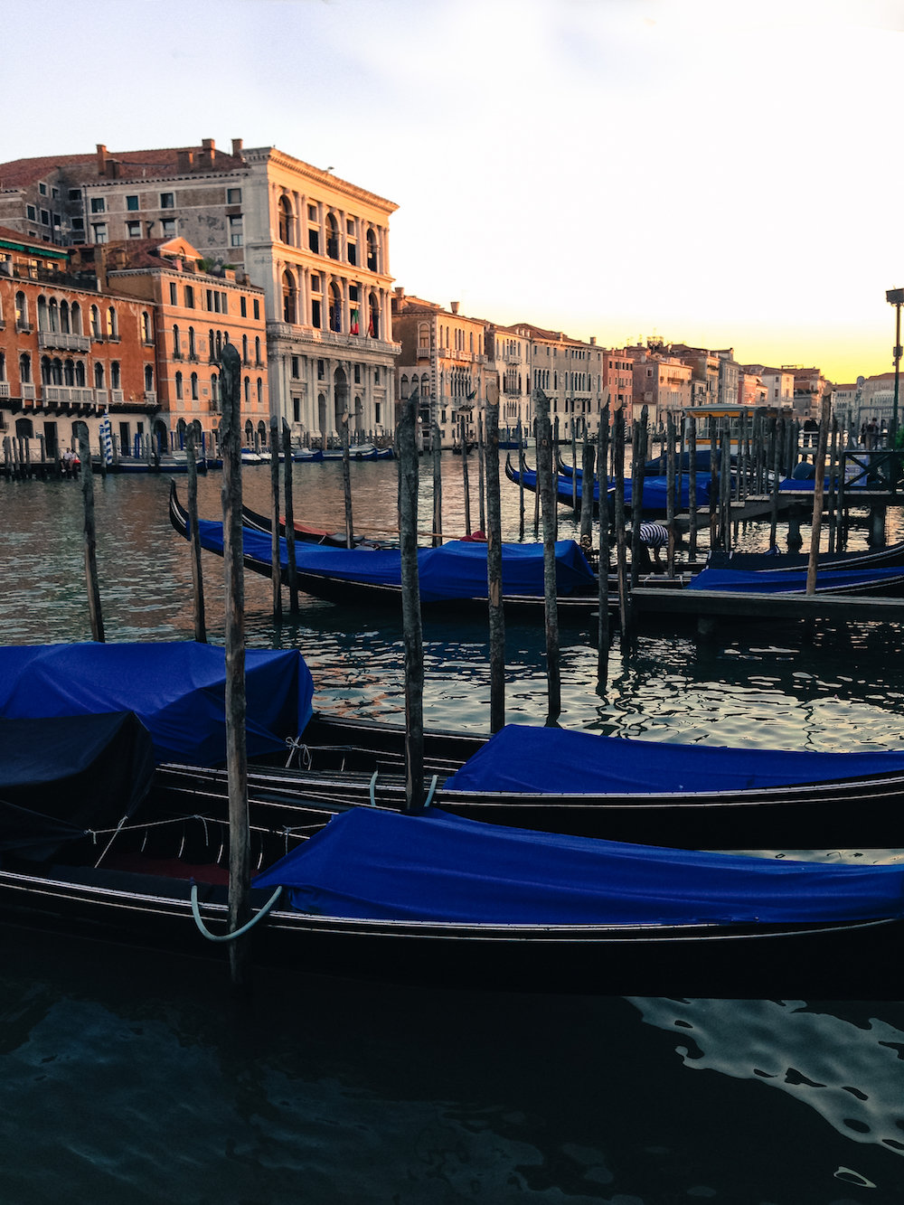 A lineup of gondolas (Eat Me. Drink Me.)