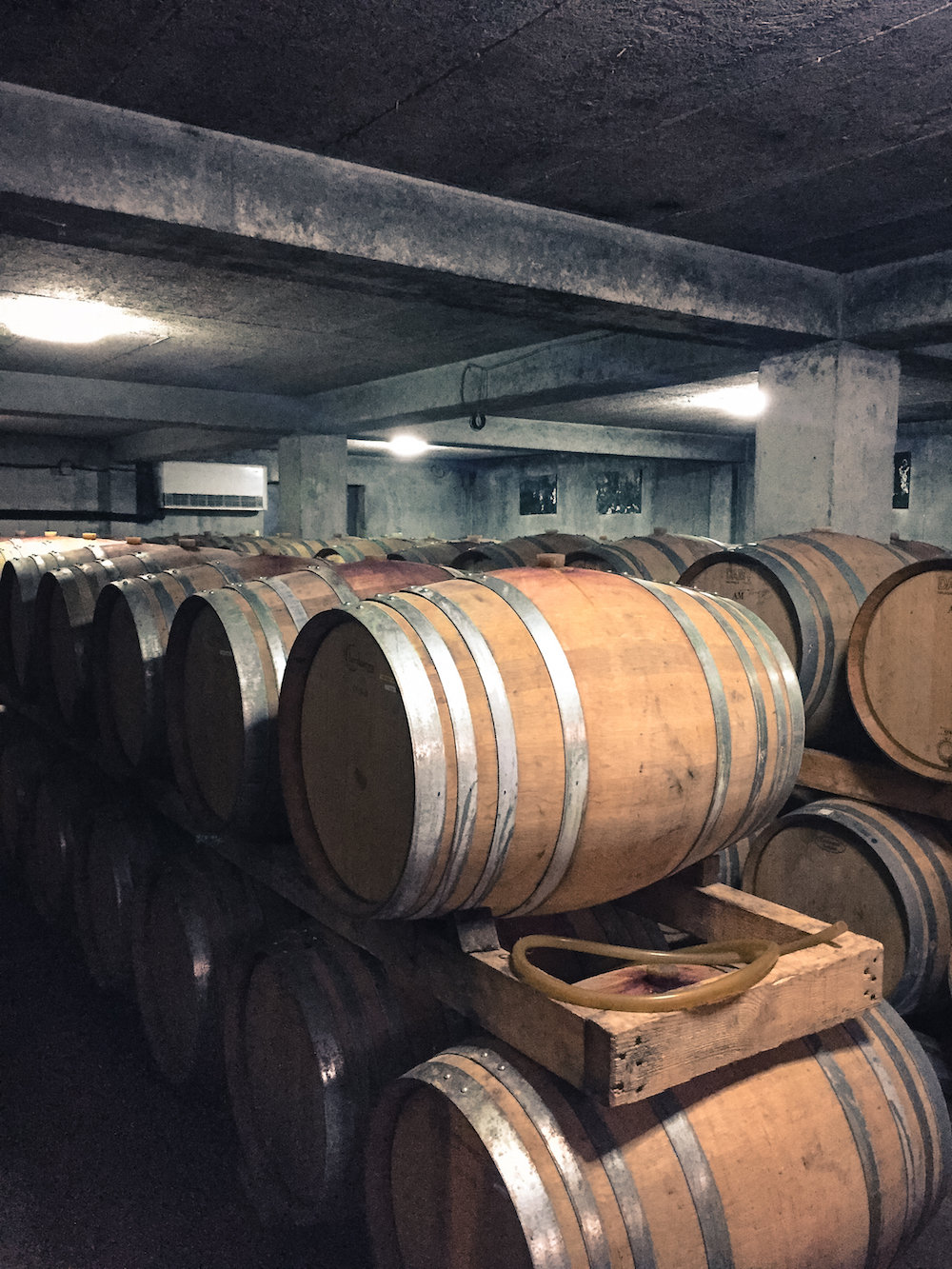 Barrels in the wine cellar (Eat Me. Drink Me.)