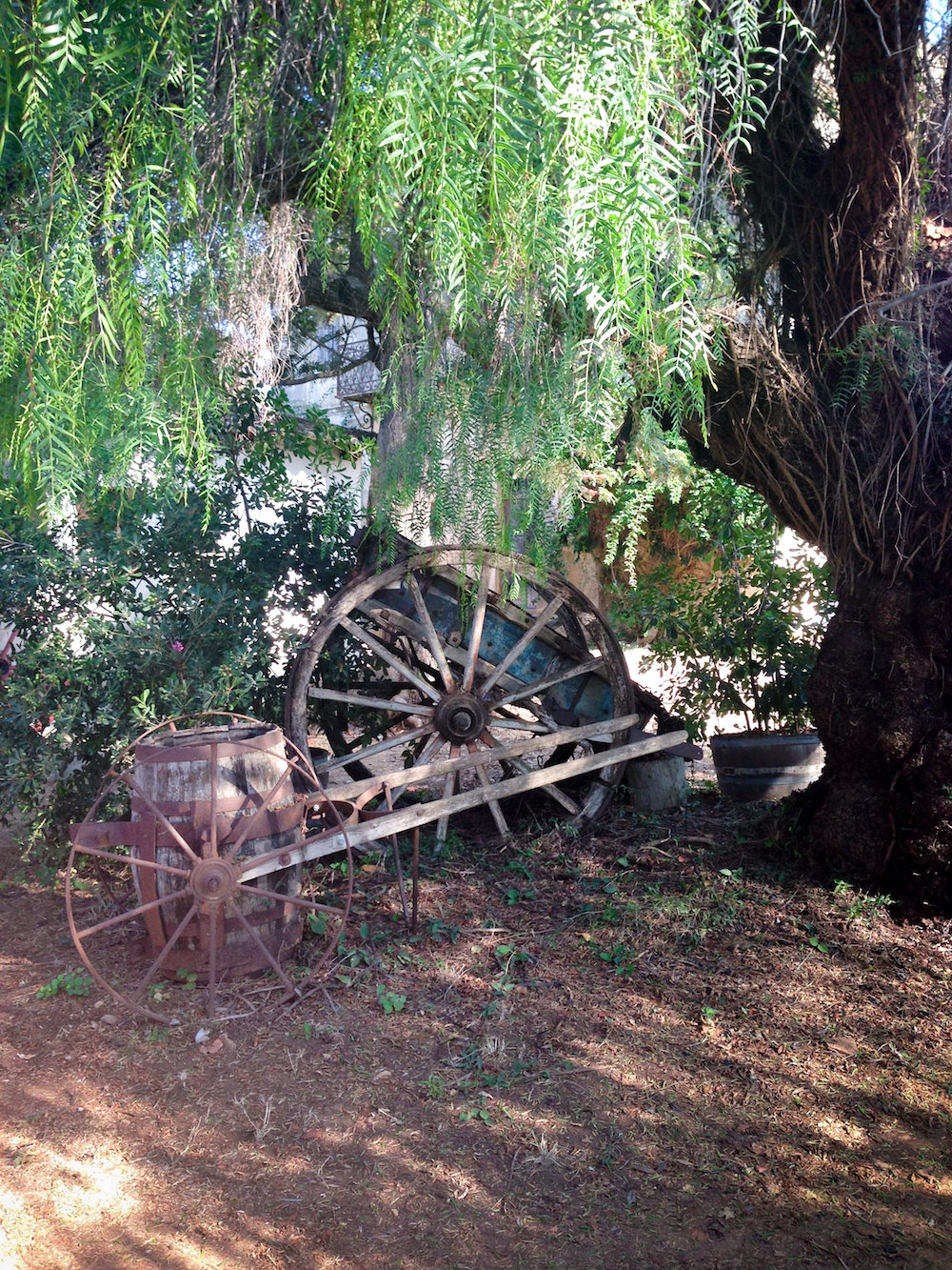 Wheelbarrow and pepper tree (Eat Me. Drink Me.)