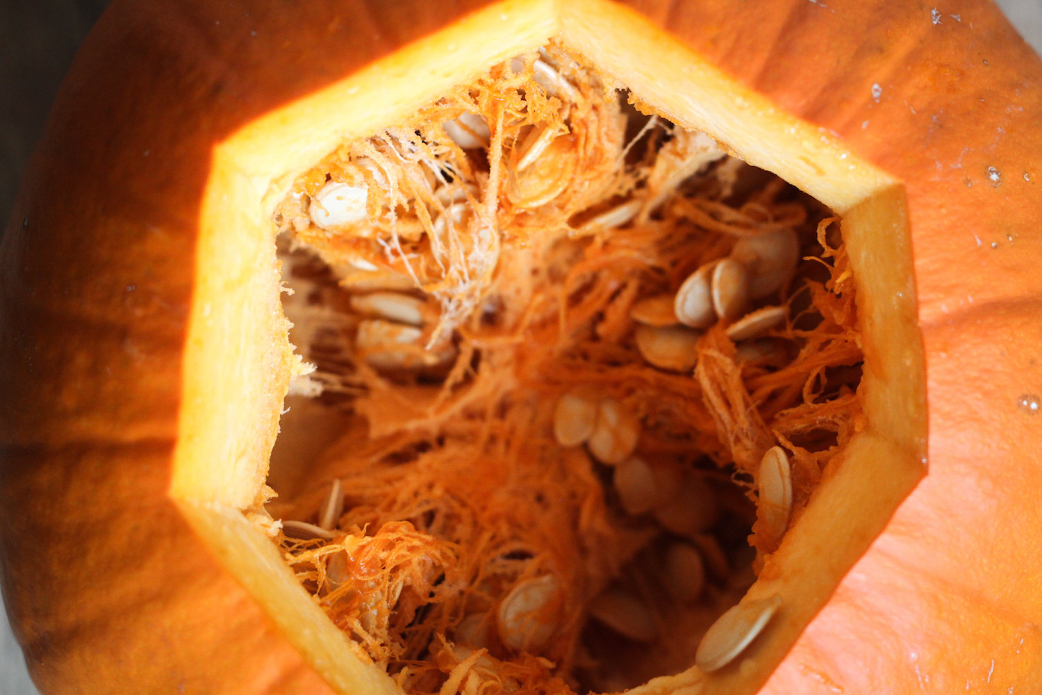 The gaping maw of a pumpkin (Eat Me. Drink Me.)