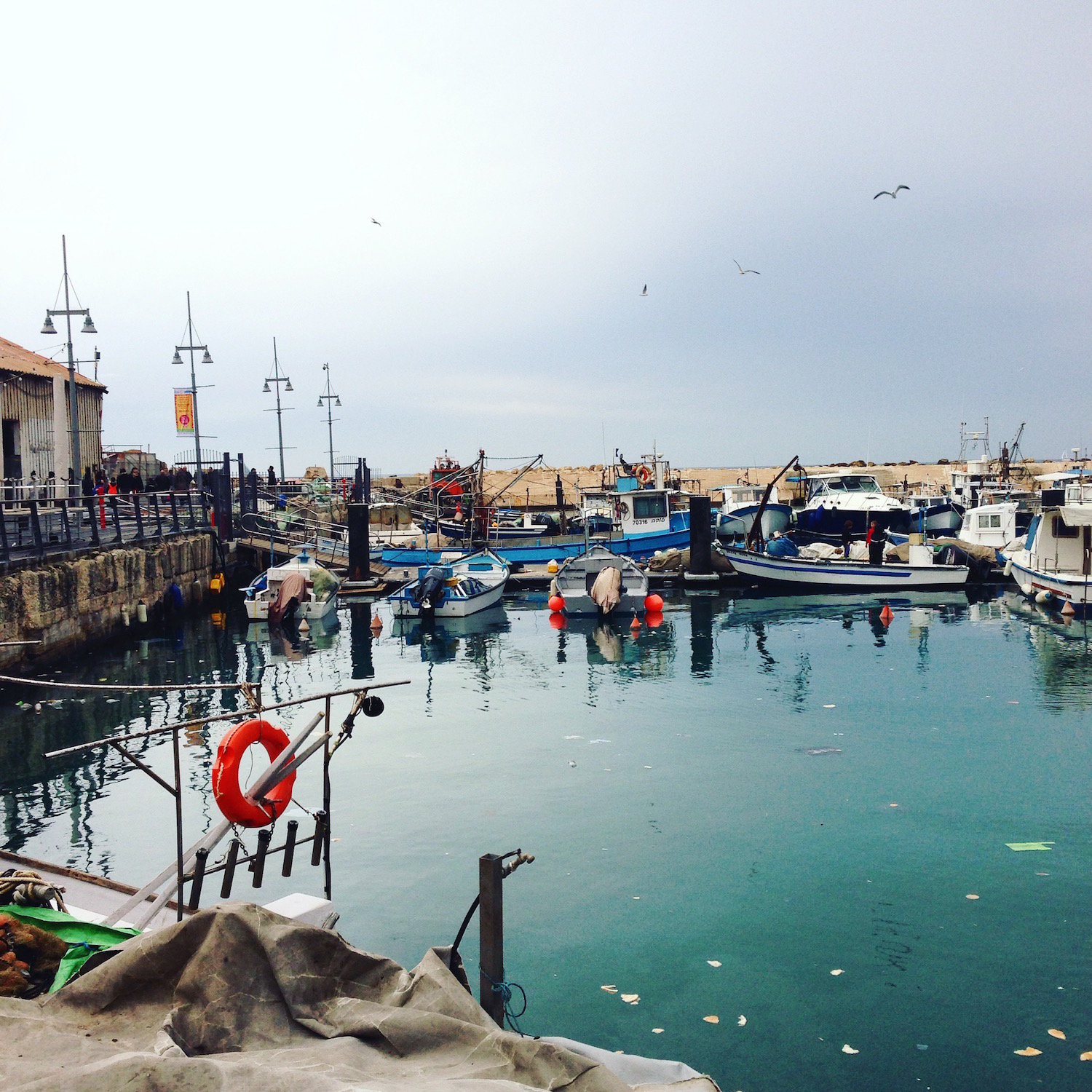 Jaffa, Tel Aviv (Eat Me. Drink Me.)