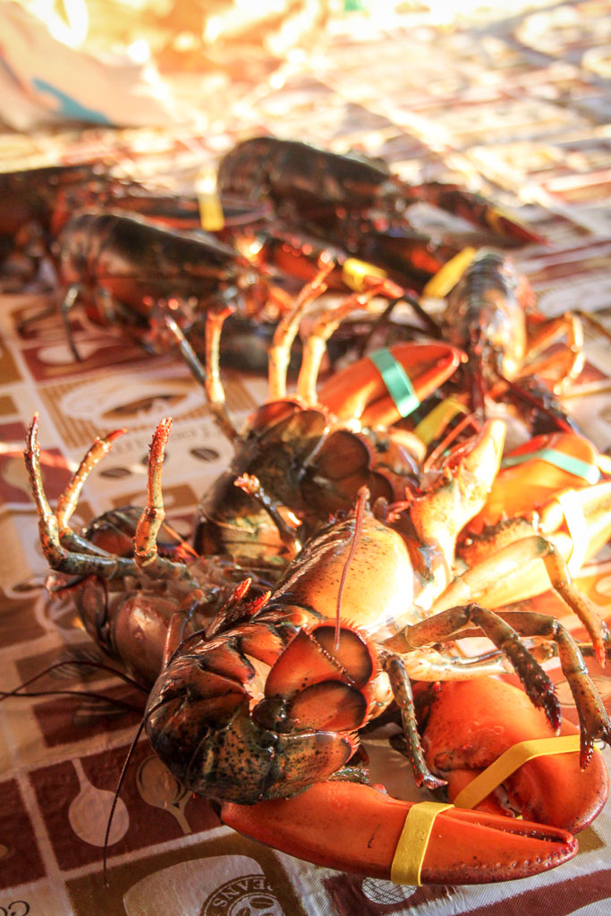 A pile of live lobsters (Eat Me. Drink Me.)