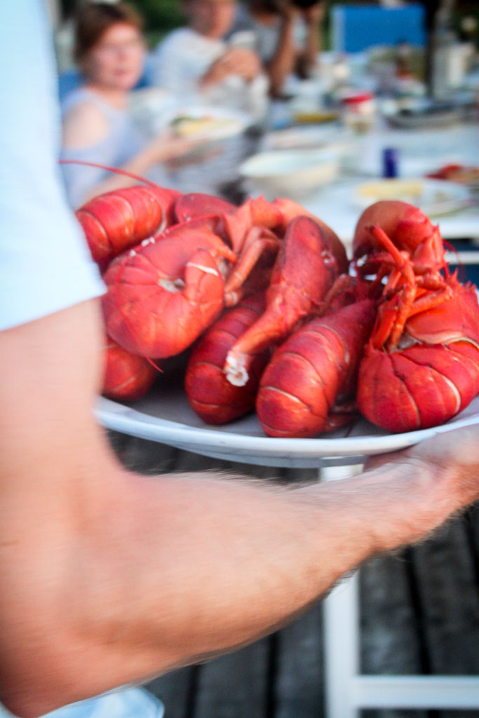 Platter of boiled Maine lobster (Eat Me. Drink Me.)