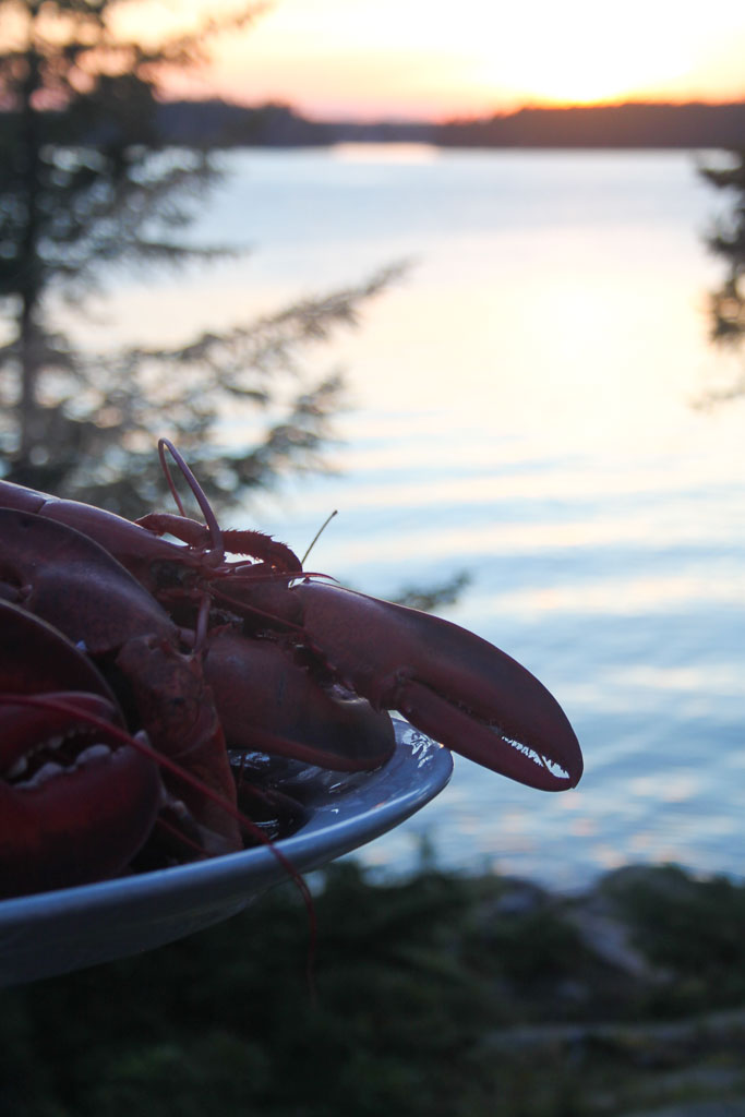 Some lobsters in the evening sun (Eat Me. Drink Me.)