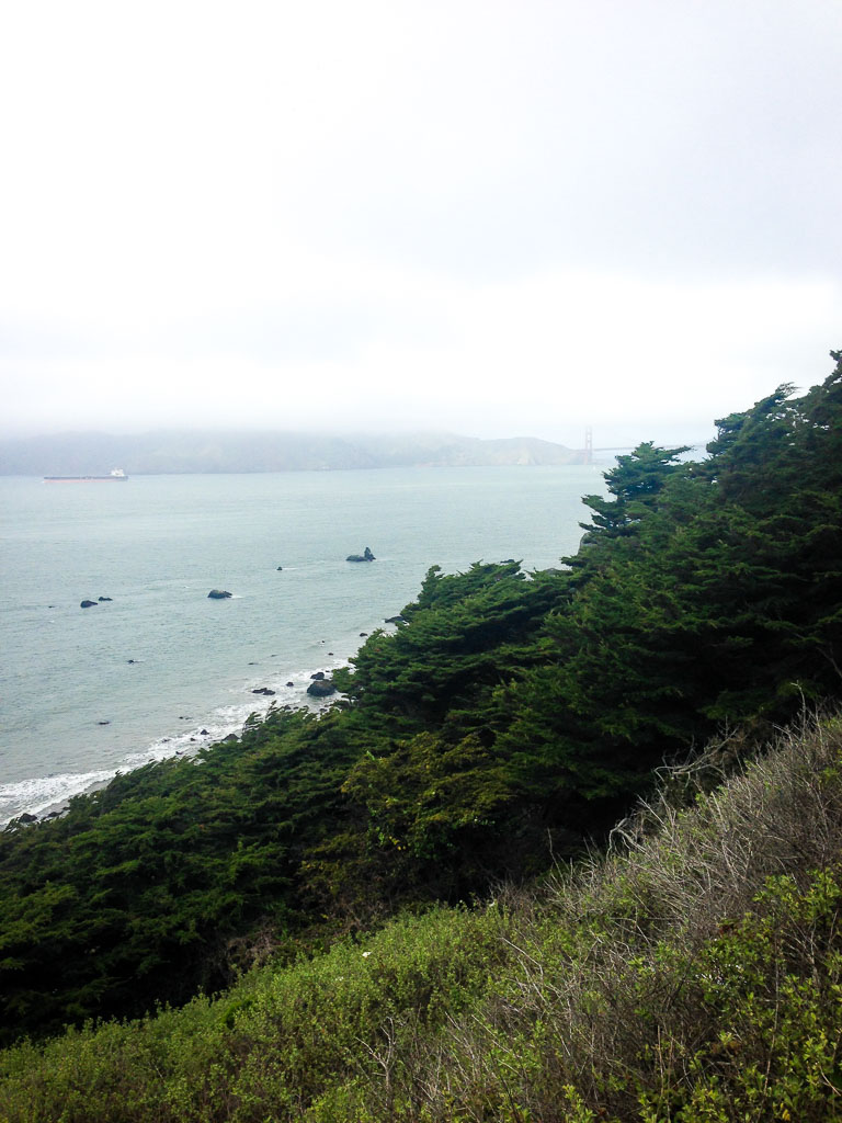 Along the coast, San Francisco (Eat Me. Drink Me.)