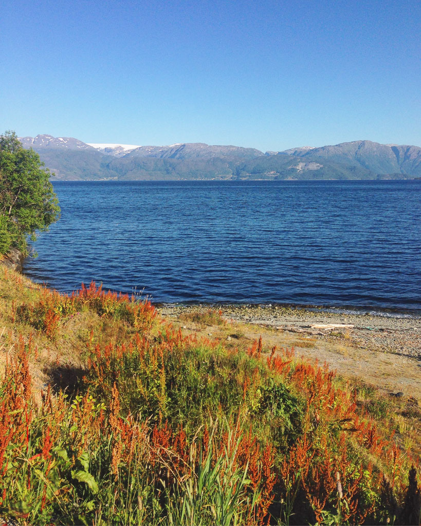 Along the road in Hardangervidda (Eat Me. Drink Me.)