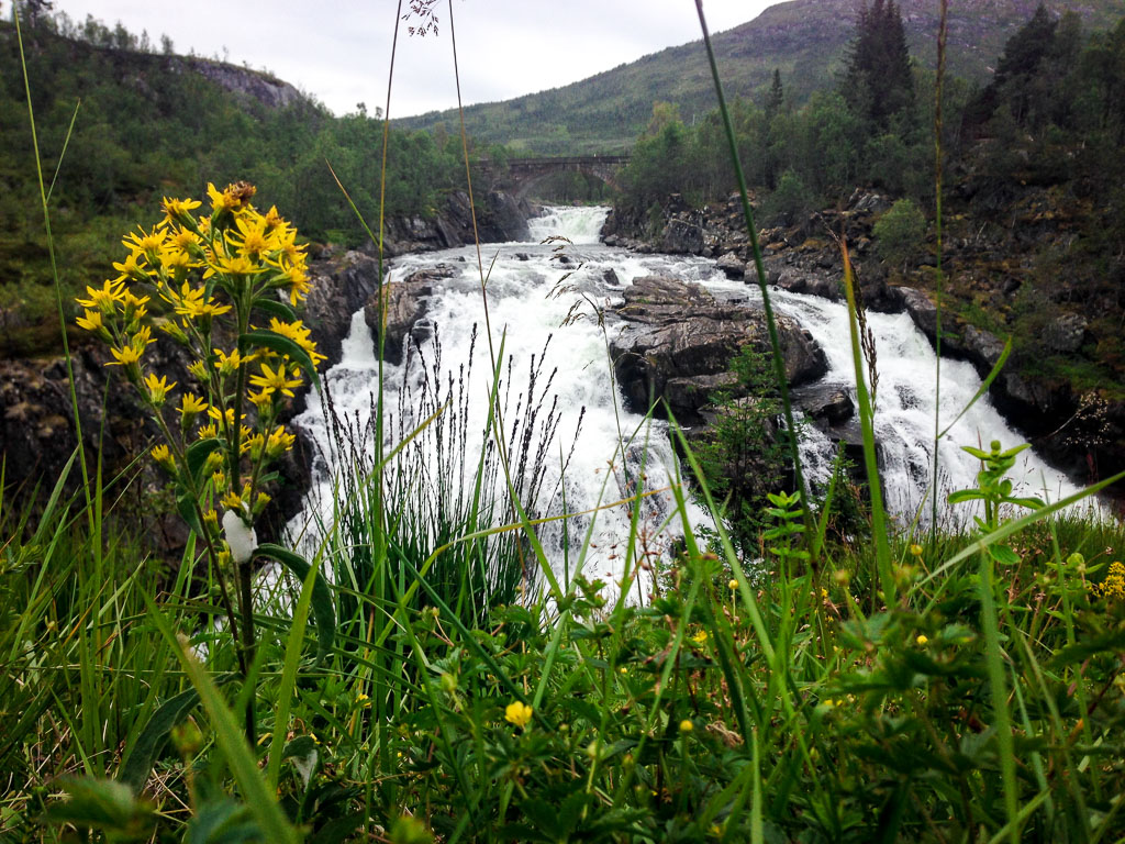 Voringfossen minor (Eat Me. Drink Me.)