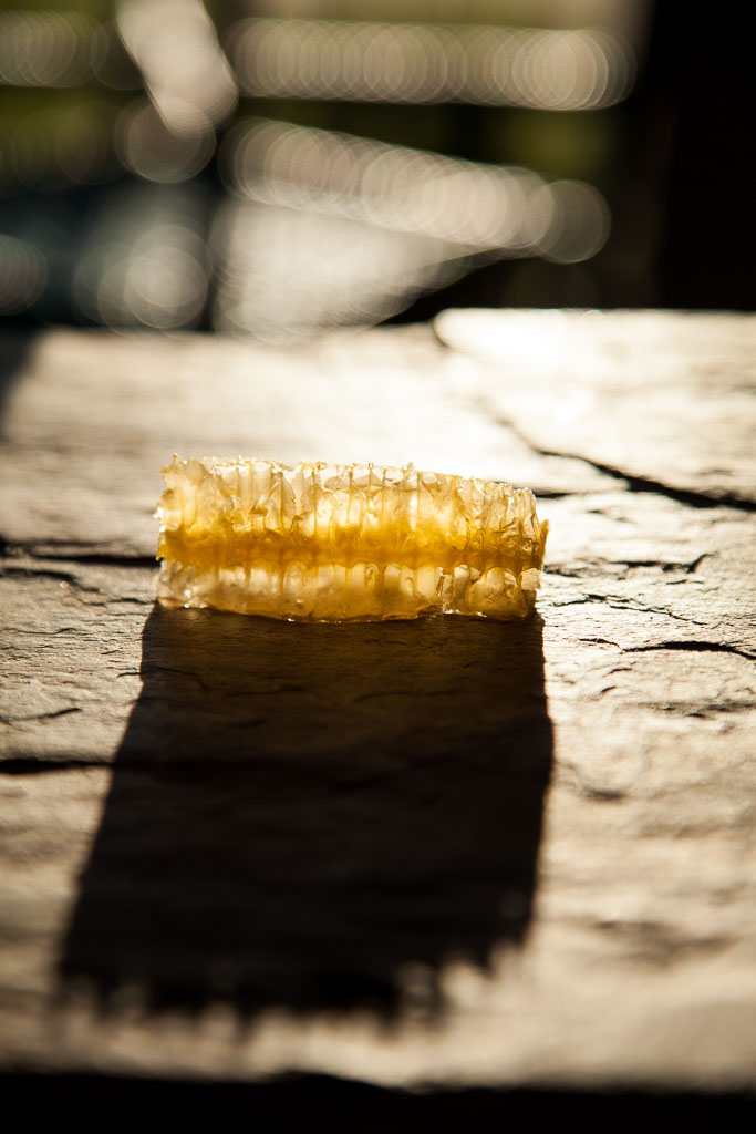 Honeycomb (photo courtesy of alma cocina latina)