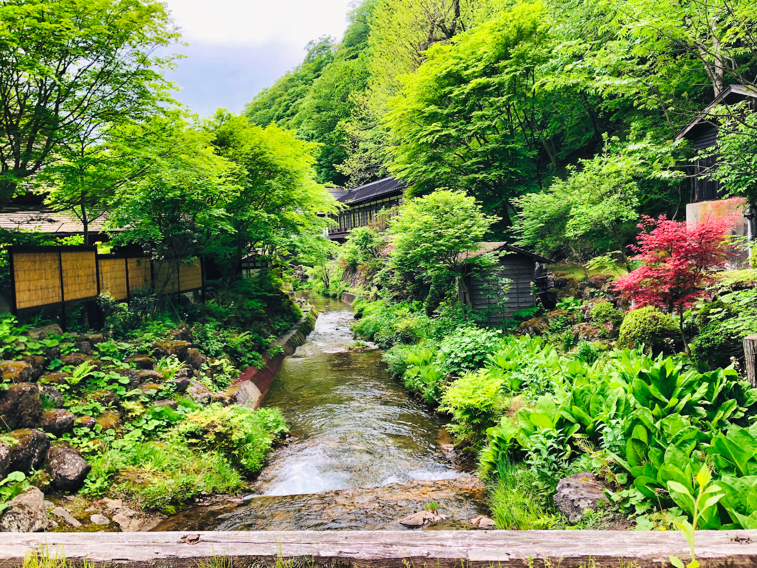 The grounds at Hoshi Onsen, Japan (Eat Me. Drink Me.)